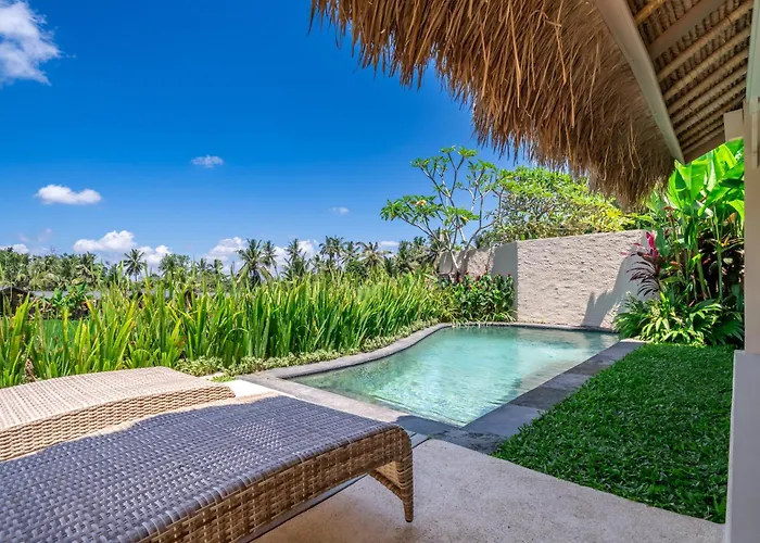 Mesari - Rice Terrace Retreat With Pool & Restaurant リゾート