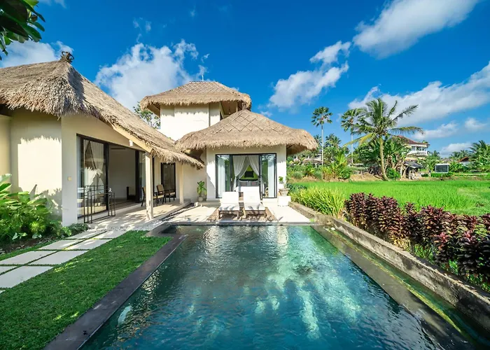 Mesari - Rice Terrace Retreat With Pool & Restaurant Resort Ubud